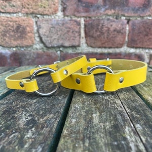 May include: Two yellow leather collars with silver metal rings. The collars are on a wooden surface.