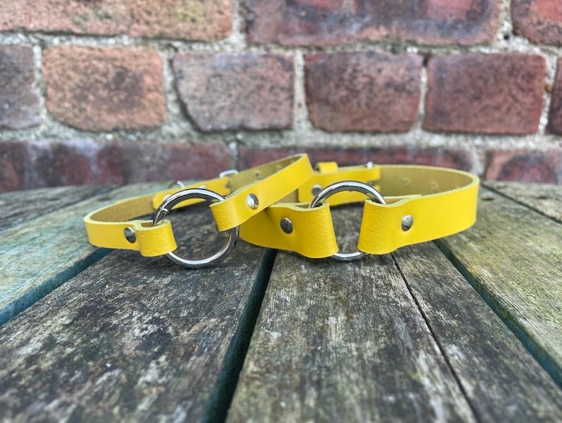 May include: Two yellow leather collars with silver metal rings. The collars are on a wooden surface.