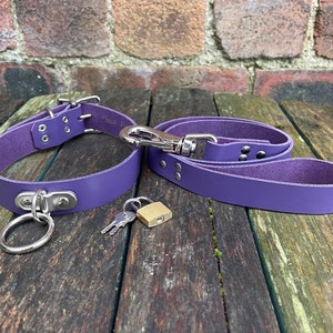 Leather D & O-Ring Lockable 1 wide Choker and Padlock with or without 3/4 wide Leash Necklace Choice of Colours Hand Made Real Leather Purple