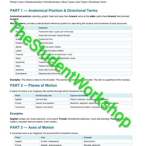 Op de afbeelding: Een document getiteld Kinesiology Student Guided Notes, Completed Instructor / Answer-Key Version. Het bevat drie delen: Anatomical Position & Directional Terms, Planes of Motion en Axes of Motion, gepresenteerd in tabellen met definities.