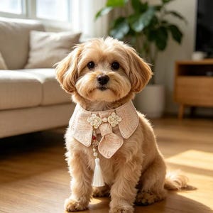 May include: A small, light brown dog wearing a pale pink, textured collar with a decorative front panel. The collar features two floral-shaped embellishments with white pearls, a central knot detail, and a long, dangling white tassel with beads.