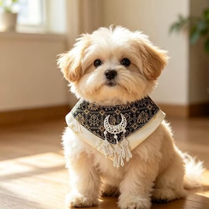 Può includere: Un cucciolo piccolo, soffice e dal pelo chiaro indossa una bandana triangolare. La bandana presenta una parte superiore in tessuto nero con un motivo geometrico dorato e un bordo color crema, decorata con una mezzaluna argentata e ciondoli.