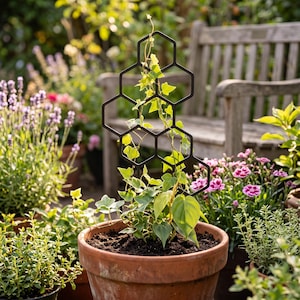 May include: A black metal plant trellis featuring a geometric honeycomb pattern of interconnected hexagons. The trellis is inserted into a terracotta pot containing a green climbing vine that grows upward through the open hexagonal frame.