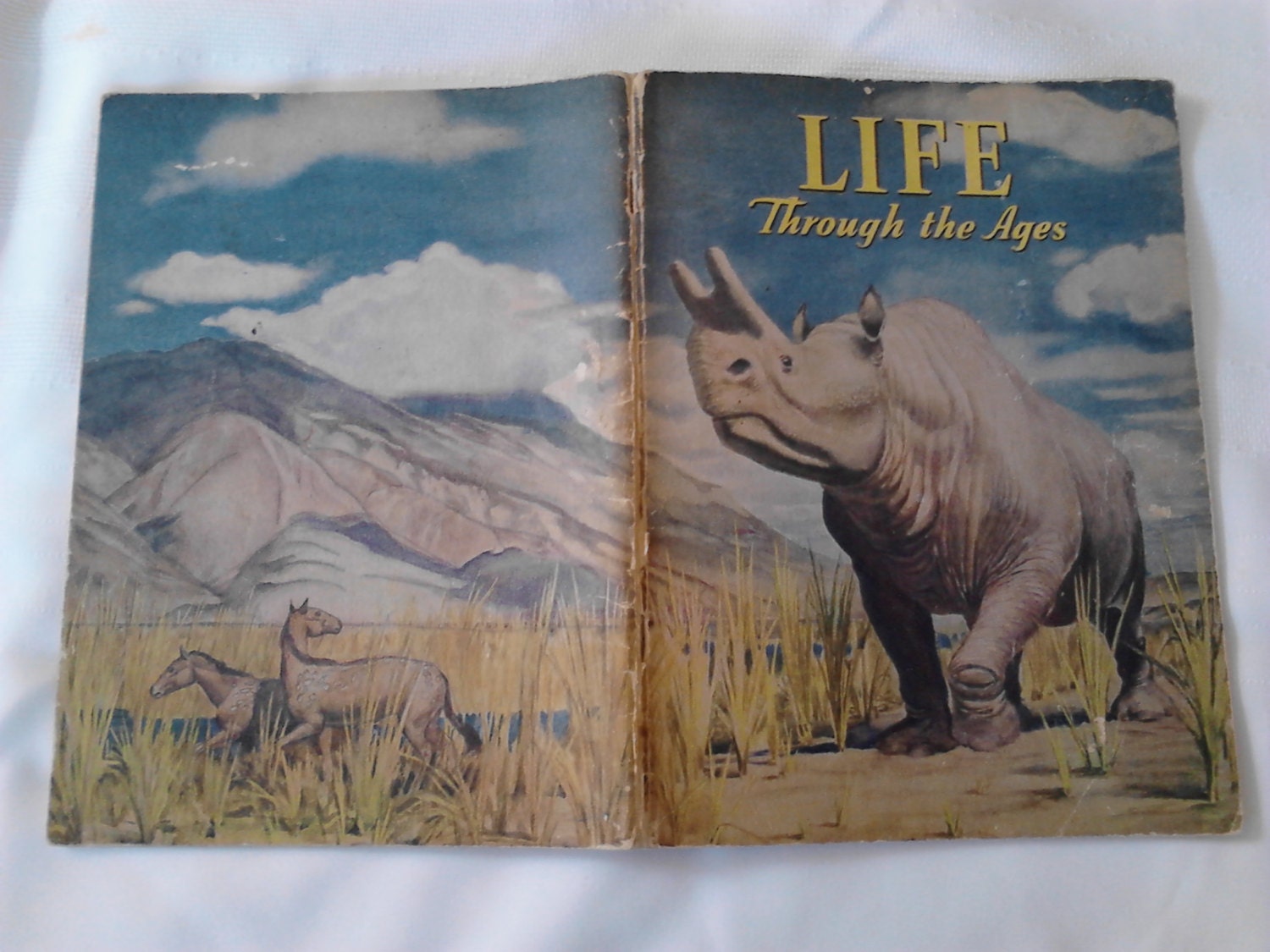 Vintage Junior High Book Life Through The Ages by Bertha Etsy