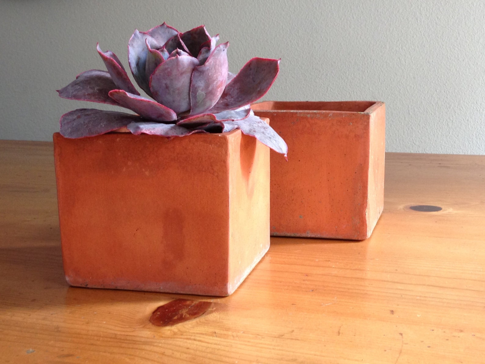 Square Terra Cotta Pots