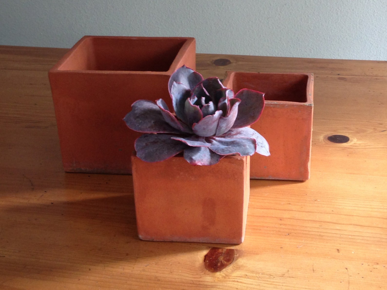 Square Terra Cotta Pots