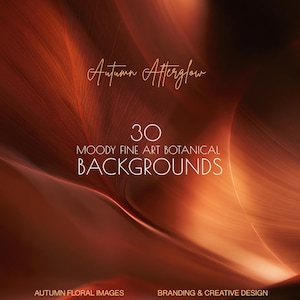 Op de afbeelding: Een digitale collectie van 30 sfeervolle botanische fine-art achtergronden getiteld Autumn Afterglow. De afbeelding toont abstracte, vloeiende oranje en dieprode bloemtexturen met lichtaccenten en de tekst Autumn Floral Images en Branding & Creative Design.