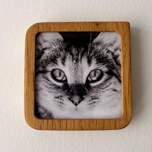Könnte beinhalten: Ein quadratischer Holzrahmen mit abgerundeten Ecken, der ein schwarz-weißes Nahfoto eines Katzengesichts enthält. Die Katze hat große, aufmerksame Augen, markante Schnurrhaare und eine detaillierte Fellstruktur. Der Rahmen besteht aus hellem Naturholz.