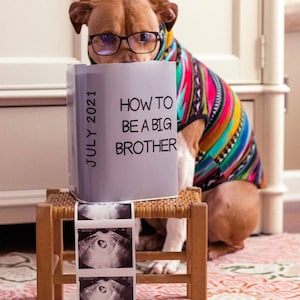 CUSTOM Digital How To Be A Big Brother or Big Sister - Custom Dust Jacket / Book Cover Cute DIY Pregnancy Announcement - Digital Download