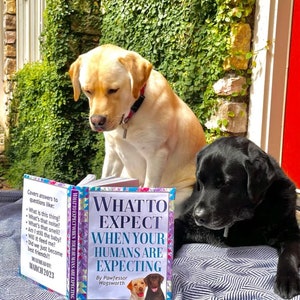 CUSTOM Funny Pregnancy Announcement - What to Expect When Your Humans Are Expecting Dog Cat Pet 100% DIGITAL Book Cover