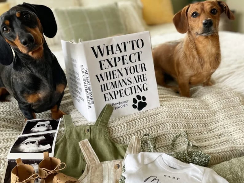 DIREKT NEDLADDNING Vad du kan förvänta dig när dina människor väntar barn Falskt skyddsomslag Roligt bokomslag Söt hund Graviditetsmeddelande - 4 alternativ bild 6