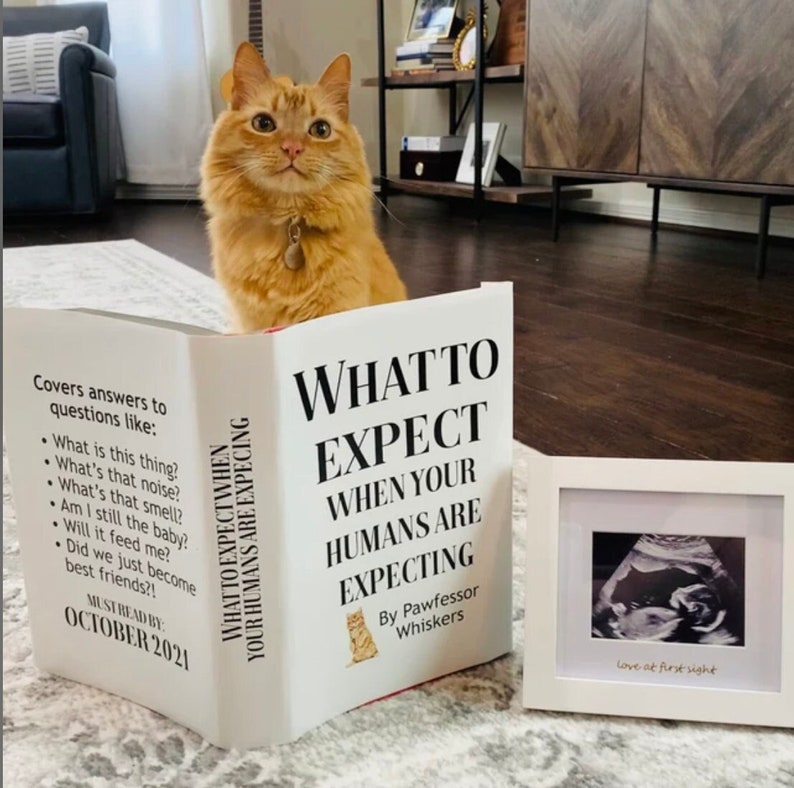 Custom Funny Pregnancy Announcement What to Expect When Your Humans Are Expecting Dog Cat Kitten Pet 100% DIGITAL Printable Book Cover image 1