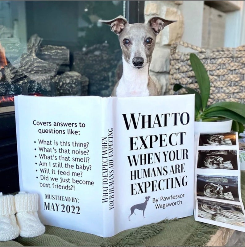 CUSTOM Pet Pregnancy Announcement What to Expect When Your Humans Are Expecting Dog Cat Any Pet 100% Custom DIGITAL Printable Book Cover image 1