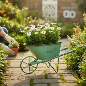 May include: A mint green metal wheelbarrow planter filled with white daisies and green foliage. The side of the wheelbarrow features the black text Bêche & Terre. It has a single front wheel, two handles, and a stand for stability on the ground.