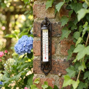 Könnte beinhalten: Ein vertikales Außenthermometer mit einem schwarzen Gussmetallrahmen, verziert mit Schnörkeln und einem Vogel-Endstück an der Oberseite. Die weiße Glasröhre zeigt Temperaturskalen in Celsius und Fahrenheit mit einer roten Flüssigkeit.