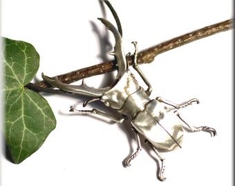May include: A silver stag beetle sculpture with detailed features, perched on a branch with a green leaf.