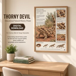 Puede incluir: Un póster educativo enmarcado titulado Moloch horridus Thorny Devil que presenta una gran imagen central del lagarto, fotos insertadas más pequeñas de su piel, espinas y dieta, y un diagrama que ilustra su ciclo de vida desde huevo a adulto.
