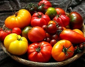 Giant Heirloom Tomato Collection, 120 seeds, Black Krim, Purple Calabash, Sudduth 39 s Strain, etc. organic non GMO