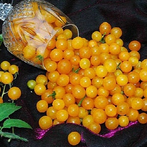 May include: A glass bowl filled with bright yellow cherry tomatoes, spilling out onto a black fabric background. The tomatoes are small and round, with a glossy finish.
