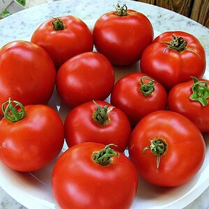 May include: A white plate filled with ten red ripe tomatoes. The tomatoes are arranged in a circle with the stems facing up.
