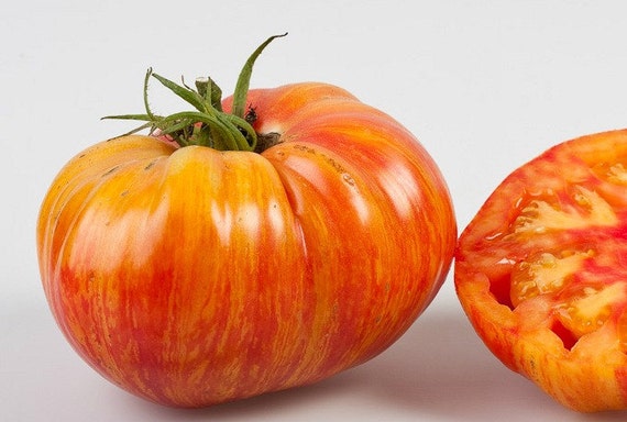 Conteneur de tomate - Chine Économiseur d'tomate et fruits prix