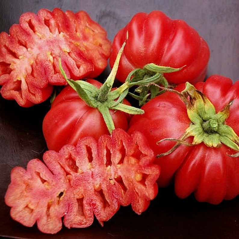 Zapotec ruffled tomato, rare Mexican heirloom, 10 seeds, loves dry heat, sweet flavor, scalloped slices, drought tolerant image 2