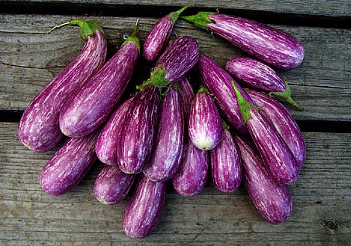 Mini Eggplant Little Fingers 10 Seeds Asian Heirloom Non Etsy