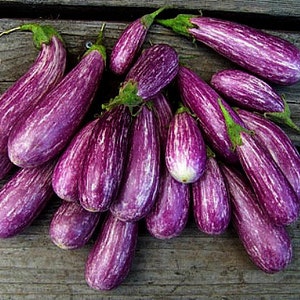 Mini Eggplant, Little Fingers, 10 seeds, Asian heirloom, non GMO, patio container garden, miniature fruit, sweet and tender, farmers market image 2