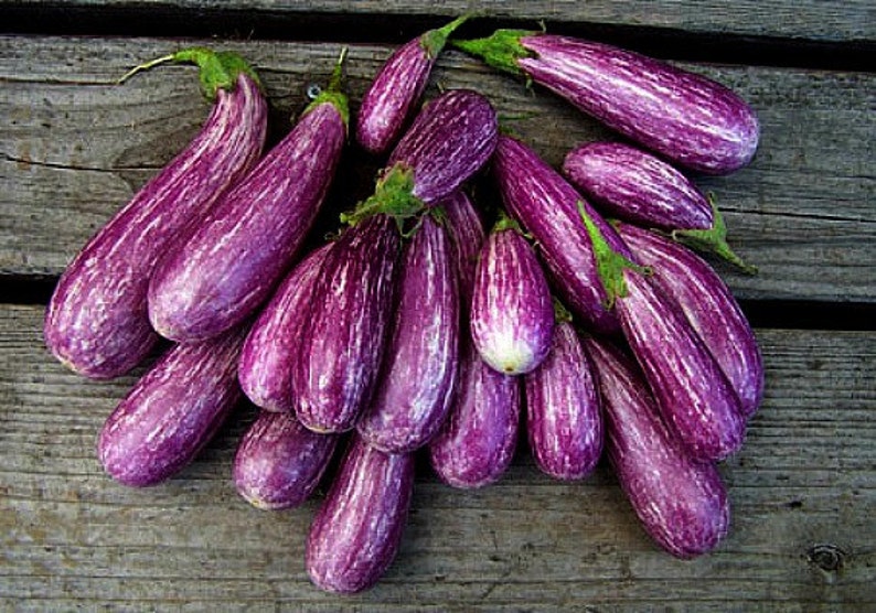 Mini Eggplant, Little Fingers, 10 seeds, Asian heirloom, non GMO, patio container garden, miniature fruit, sweet and tender, farmers market image 2