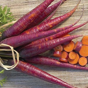 Rainbow Carrot Mix seven fancy heirlooms, 350 seeds, spring garden, fun for kids, non GMO, crazy colors image 3