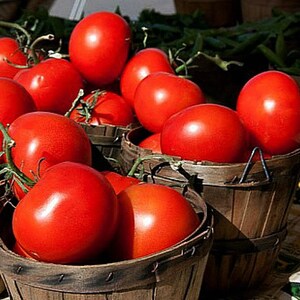 May include: A close-up of a basket filled with ripe red tomatoes. The tomatoes are arranged in a circular pattern, with some spilling over the edge of the basket. The basket is made of woven wood and has a natural brown color.