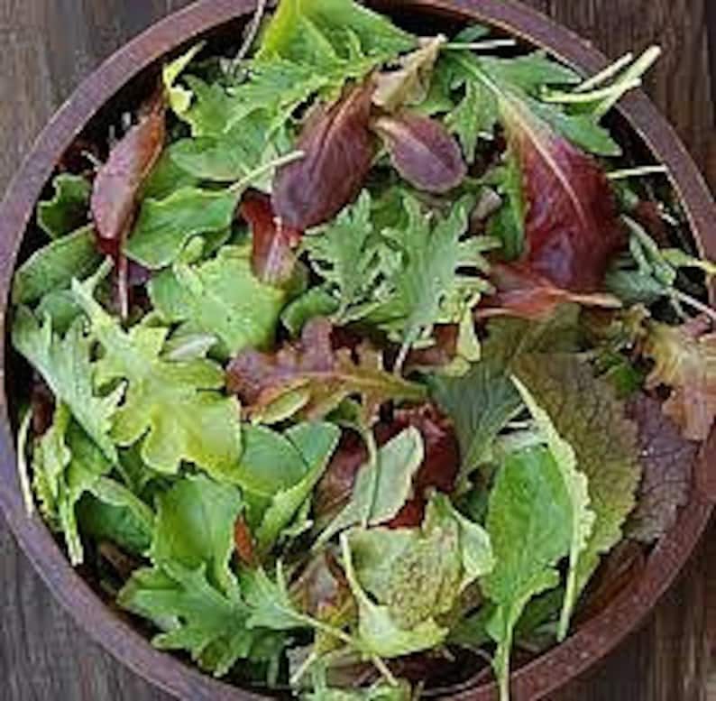 Baby Lettuce Seed Mix bulk 2000 seeds ten tasty heirlooms