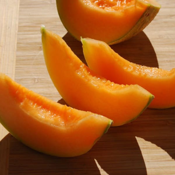 Charentais Melon,  French heirloom, miniature fruit, 10 seeds, super sweet, lovely fragrance, perfect for small gardens, cantaloupe, SALE