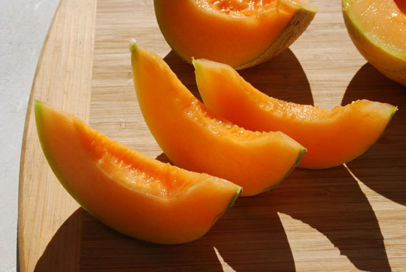 Charentais Melon French Heirloom Miniature Fruit 10 Seeds Etsy