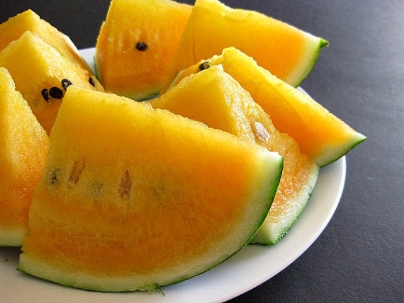Yellow Moon & Stars, heirloom watermelon, 10 rare seeds, non GMO, bri…