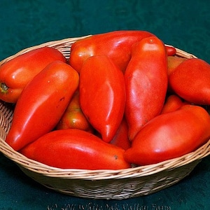 May include: A wicker basket filled with bright red, elongated tomatoes. The tomatoes are arranged in a cluster, with some overlapping.