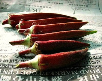 Red Velvet Okra, colorful heirloom, 20 seeds, gorgeous plant, loves summer heat,  55 days, best for gumbo, great deep fried