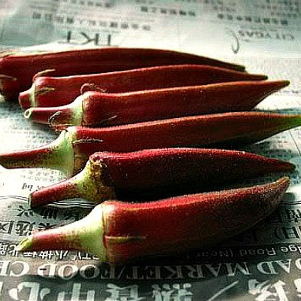 Red Velvet Okra, colorful heirloom, 20 seeds, gorgeous plant, loves summer heat,  55 days, best for gumbo, great deep fried