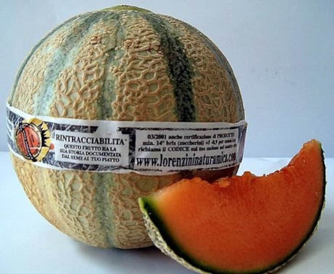 Tuscany Melon Italian Heirloom 10 Seeds Sweet Fragrant Etsy