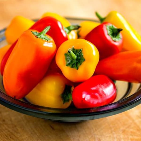 Romanian Rainbow Sweet Pepper, 10 heirloom seeds, non GMO, pretty plant, super productive, sweet peppers, great roasted or fresh, SALE