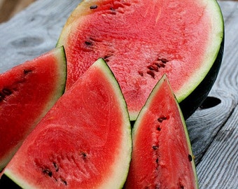 Sugar Baby Watermelon, 10 seeds, non GMO, heirloom, Ice Box Melon, small sweet fruit, black rind, great for small gardens, picnic perfect