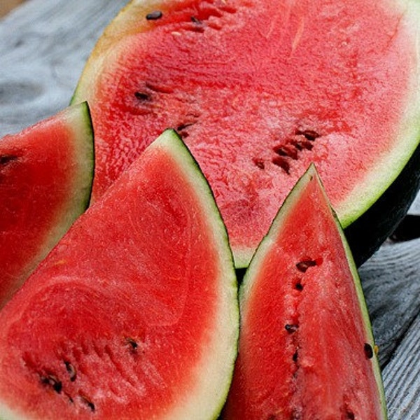 Sugar Baby Watermelon, 10 seeds, non GMO, heirloom, Ice Box Melon, small sweet fruit, black rind, great for small gardens, picnic perfect