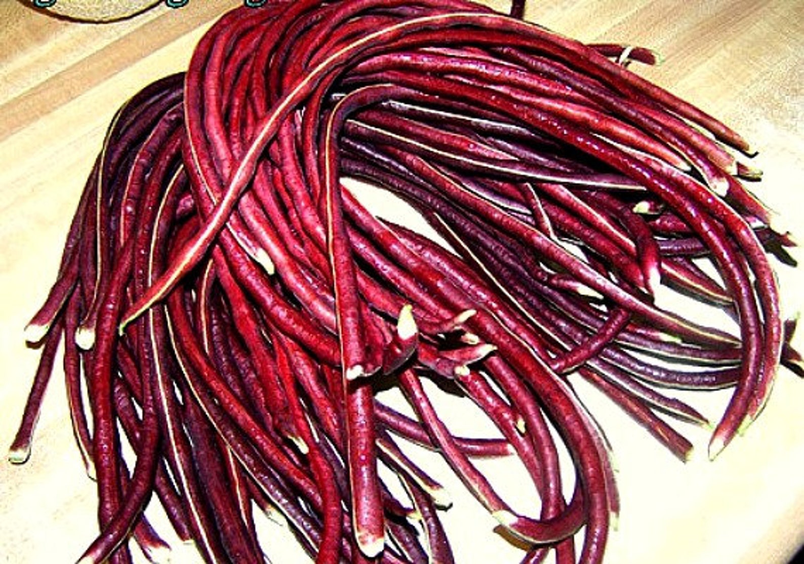 Red Noodle Bean Yard Long Bean 15 heirloom seeds Asparagus Etsy