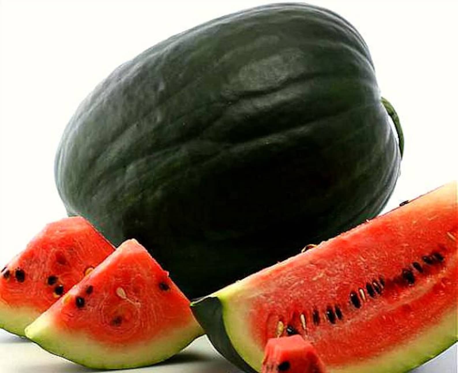 10+ Black Diamond Yellow Belly Watermelon Seeds - NON-GMO Heirloom, Giant Fruit, Easy To Grow