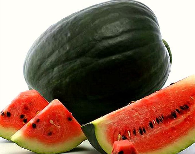 Black Diamond, Heirloom Watermelon, 10 Seeds, Non GMO, Huge Fruits