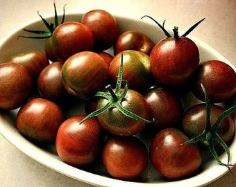 Black Cherry Tomato, 15 seeds, tastiest cherry, Top Ten List, super productive on vigorous vines, fruits early, 64 days, hard to find seeds