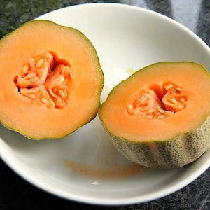 Melon ancien Midget du Minnesota, 10 graines, fruit super sucré, sans OGM, vignes compactes, mûrit tôt, courte saison, jardin en pot image 4
