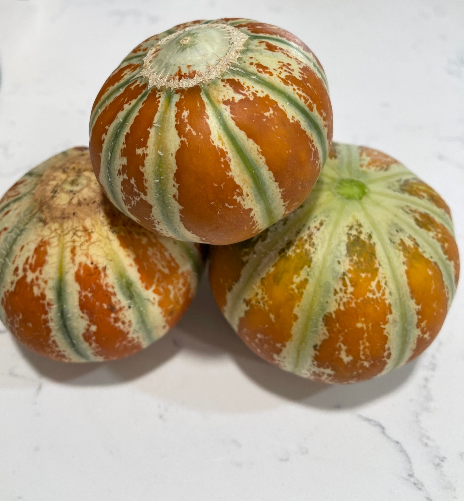 Kajari Melon, Bright Striped Honeydew, Rare Seeds, Small Fruit, Compact