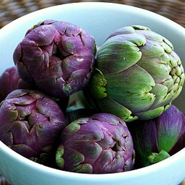 Purple Artichoke, Violet de Provence, 10 heirloom seeds, early and productive, silver foliage, cool purple blooms, cut flowers