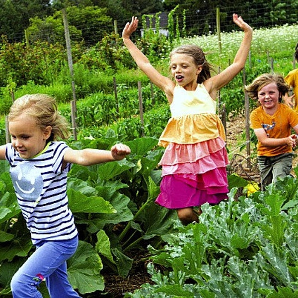 Kid's Garden Collection, Newbie's Seed Kit, six organic veggies, 1000+ seeds, easy to grow, fun to eat, instructions